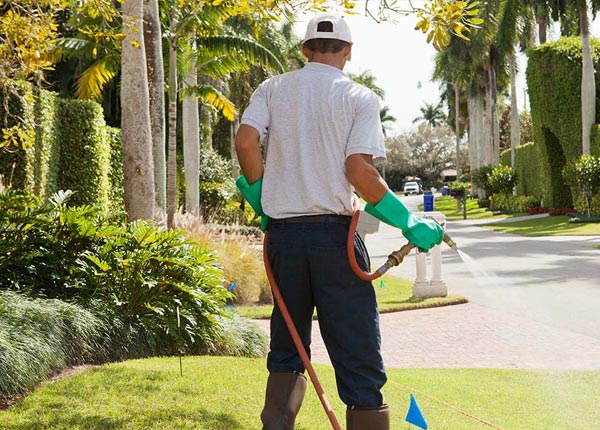 About Bloomingdale NJ Pest Control Pros